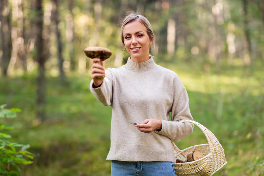 7 Nootropic Mushrooms: The Ultimate Guide
